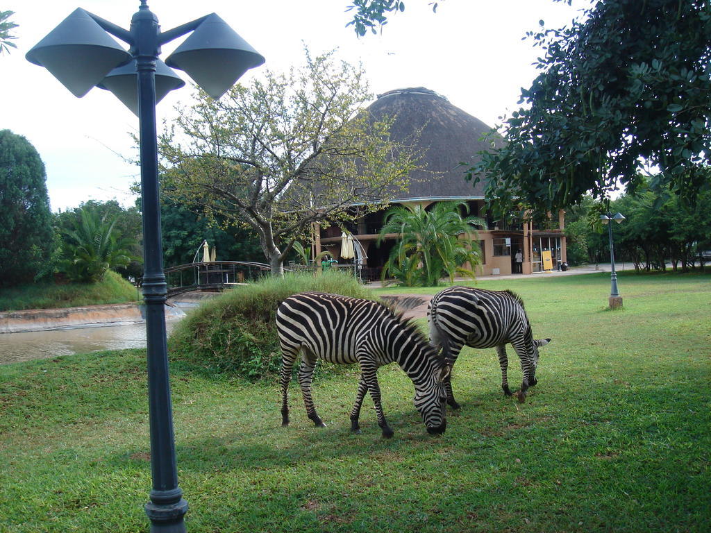 Kaazmein Lodge Livingstone Ngoại thất bức ảnh
